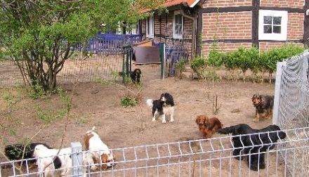 Hundepension Mühlenhorst