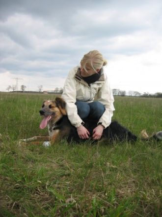 Hundeschule-Knickohr