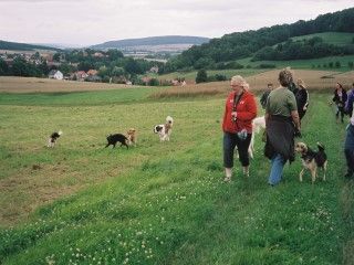 Urlaub mit Hund und Hundeschule