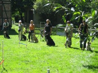 Urlaub mit Hund und Hundeschule