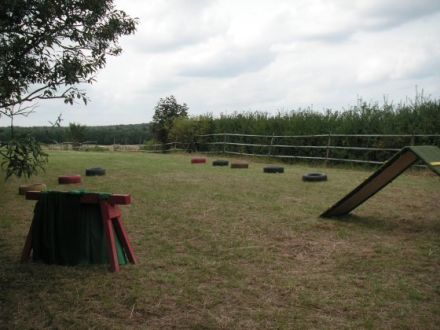 Hundezentrum Am Berghof