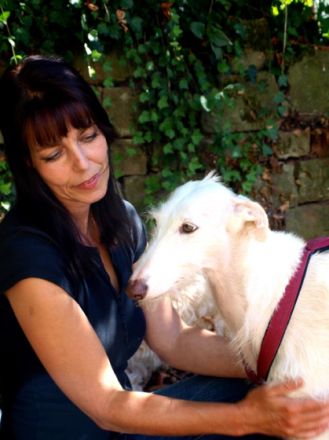 wetnose - mit Hunden leben