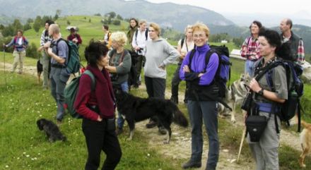 wetnose - mit Hunden leben