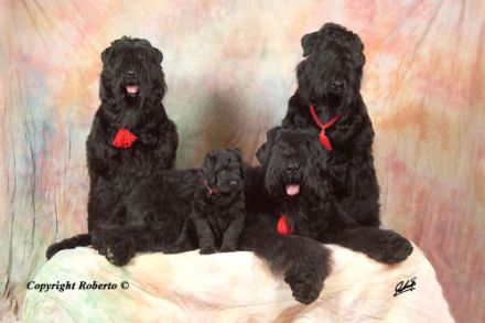 Zlato s Bavarskogo Dvora - der Schatz vom Bayerischem Hof