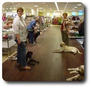 Hundezentrum Elbmarsch