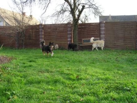 Die etwas andere Tierpension