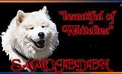 Beautiful of Whiteline