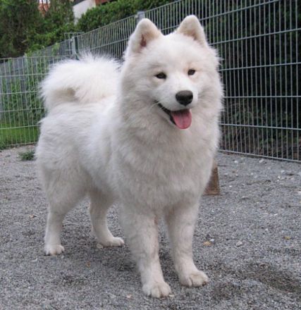 Beautiful of Whiteline