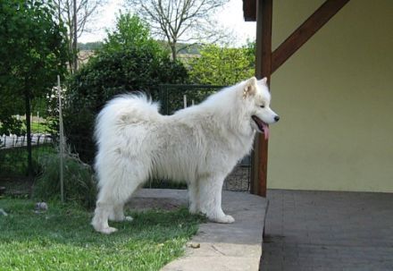 Beautiful of Whiteline