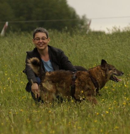 Hundeschule Lernen fürs Leben