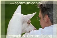 Naturheilpraxis für Tiere