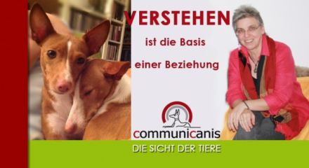 Naturheilpraxis für Tiere