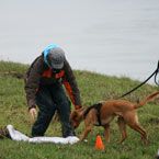 Chakanyuka - Clickertraining and more