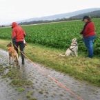 Chakanyuka - Clickertraining and more