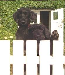 vom Haus von Blücher