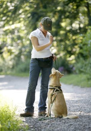Hundeschule Via Nova in Essen