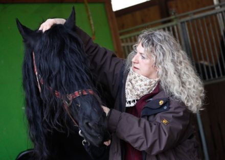 Tierakupunktur-Zentrum.de Patrizia Harneit