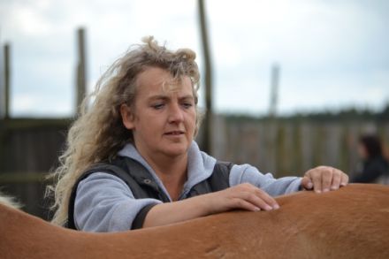 Tierakupunktur-Zentrum.de Patrizia Harneit