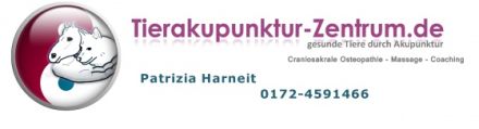 Tierakupunktur-Zentrum.de Patrizia Harneit