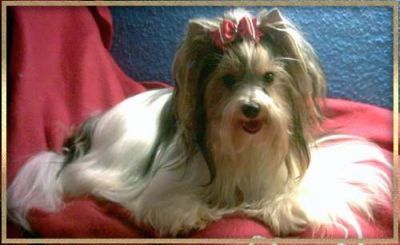 Happy of little Girl´s