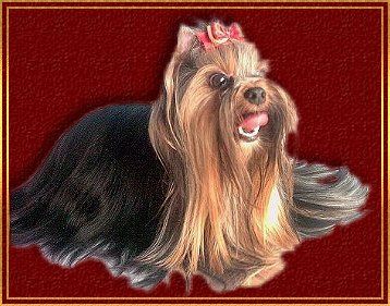 Happy of little Girl´s