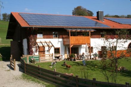 Die Hundepension Feldsieper