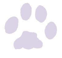 Spaziergeh-Hundeschule (Wiesbaden und Umgebung)