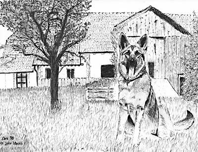 Hundepension Grisette