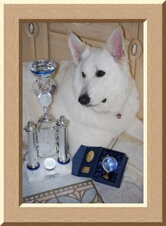 a From White Diamond