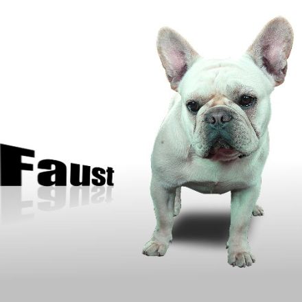 Faust from iron County