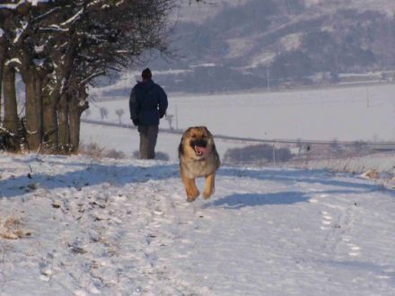 Ferienwohnung-Hachelbich