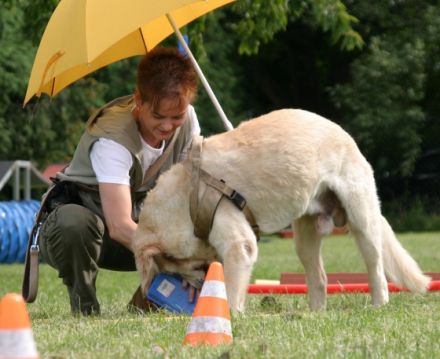 Susanne Hoffmann  Hundetrainerin