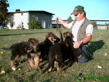 alten Hartsteinwerke