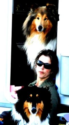 Mobile Hundeschule Djamila Schreiber