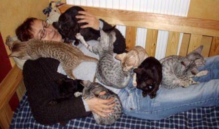 of sooleawe savannah