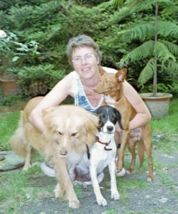 Hundebetreuung im Essener Süden