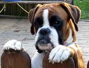 von der Boxerschlucht