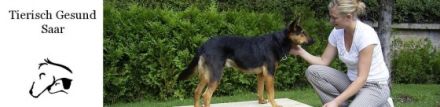 Tierisch Gesund Saar