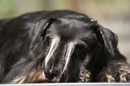 vom Römersberger Hof