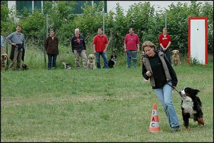 Hundeschule ROKO's Dog Training in Ingelheim/Rhein