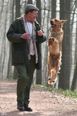 Hundeschule ROKO's Dog Training in Ingelheim/Rhein