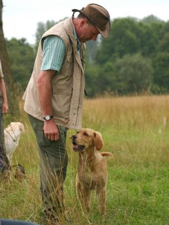 Hundeschule ROKO's Dog Training in Ingelheim/Rhein