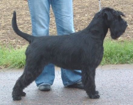 von der Thelersäule