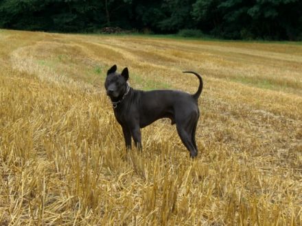 von den drei Kaiserbergen