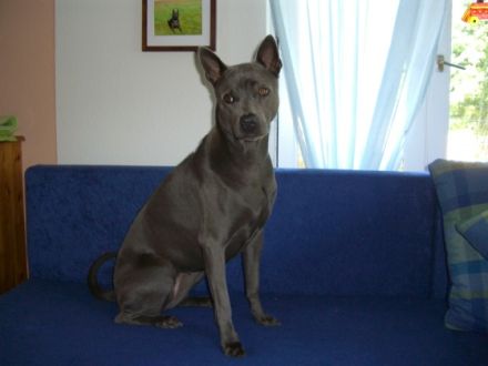 von den drei Kaiserbergen