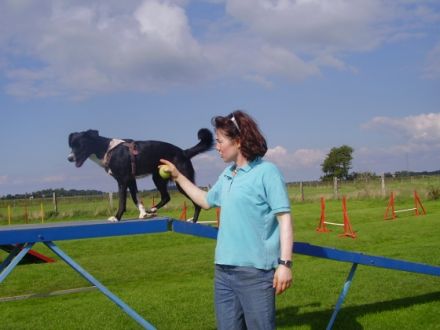 Doc Doolittle Ranch- Die Tieroase auf Föhr