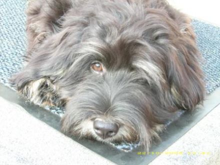 Forsthaus Donnersberg