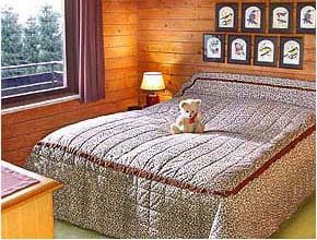 BAYERWALD-Ferien-BLOCKHAUS