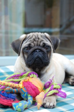 zum Schloß Reinhardsbrunn