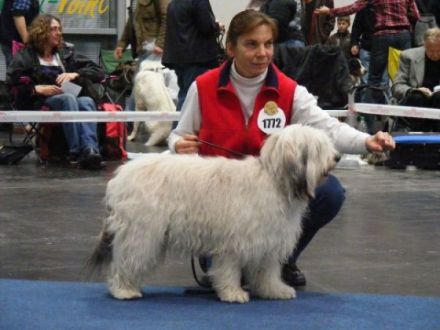 von den Wühlmäusen